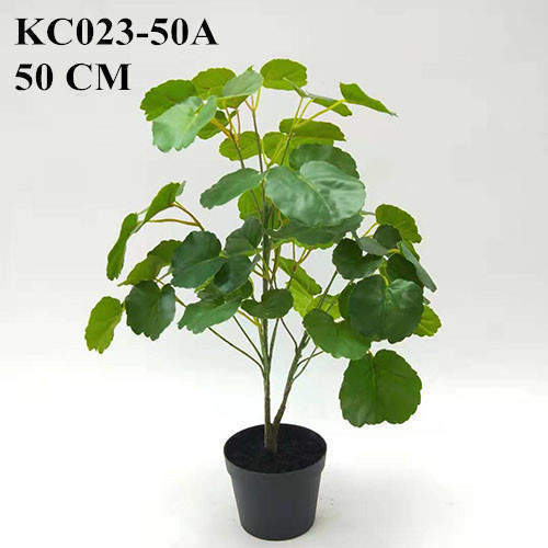 Artificial Polyscias Balfouriana Bonsai, 30 CM - 90 CM
