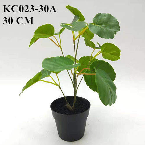 Artificial Polyscias Balfouriana Bonsai, 30 CM - 90 CM