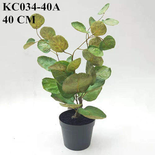 Artificial Polyscias Balfouriana Bonsai, 40 CM, 60 CM, 90 CM