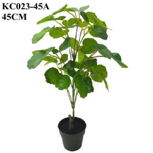 Artificial Polyscias Balfouriana Bonsai, 45 CM