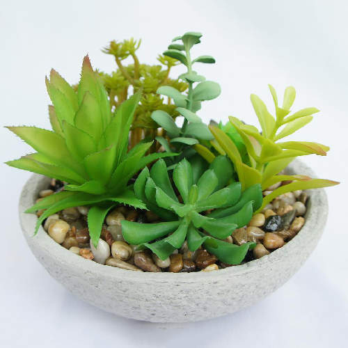 Artificial Potted Succulents Mini Realistic Fake Plants - Sharetrade