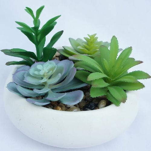 Artificial Realistic Textured Succulents Plants
