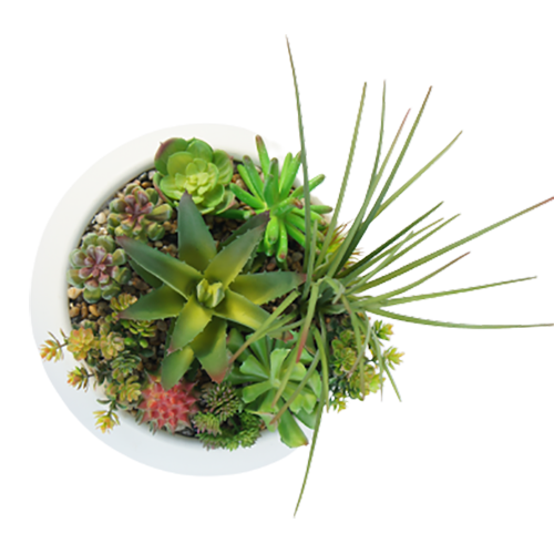 Artificial Small Bonsai for Succulents, 25 CM