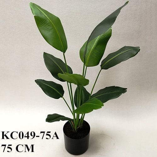 Artificial Strelitzia Bonsai, 50 CM, 65 CM, 75 CM
