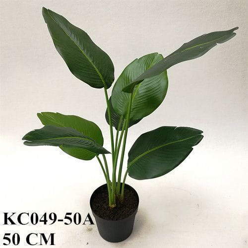Artificial Strelitzia Bonsai, 50 CM, 65 CM, 75 CM