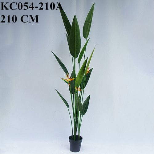Artificial Strelitzia Bonsai With Sharp Leaves, 120 CM - 240 CM