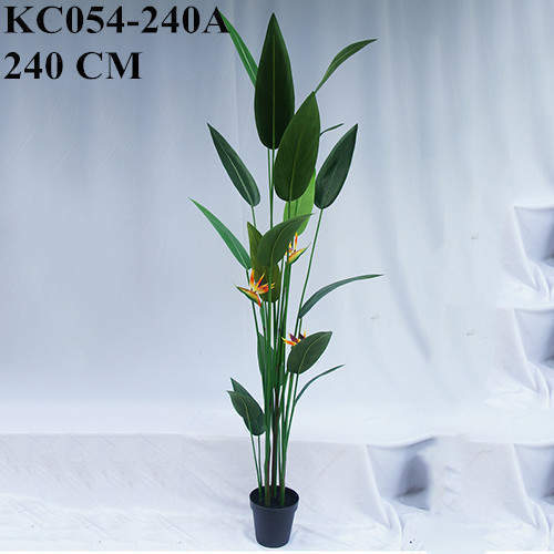 Artificial Strelitzia Bonsai With Sharp Leaves, 120 CM - 240 CM
