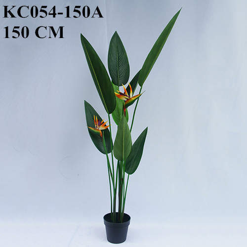 Artificial Strelitzia Bonsai With Sharp Leaves, 120 CM - 240 CM