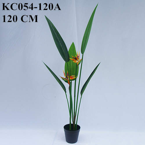 Artificial Strelitzia Bonsai With Sharp Leaves, 120 CM - 240 CM