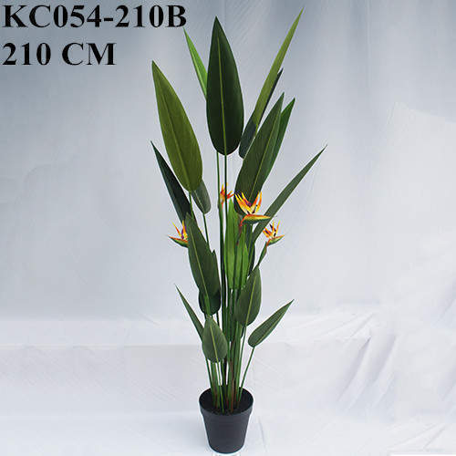 Artificial Strelitzia Nicolai Bonsai, 120 CM - 240 CM