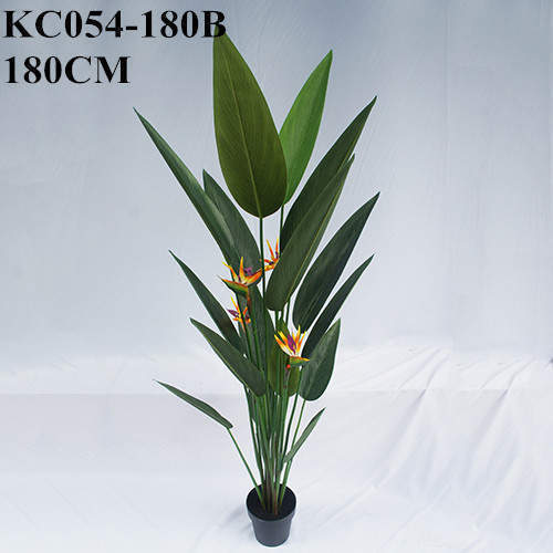 Artificial Strelitzia Nicolai Bonsai, 120 CM - 240 CM