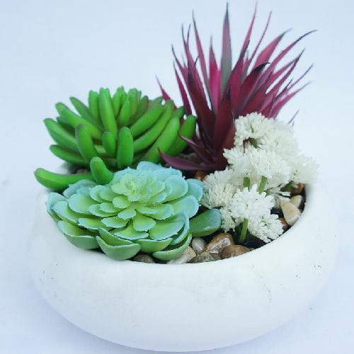 Artificial Succulent Plants Fake Faux Suculentas Pot