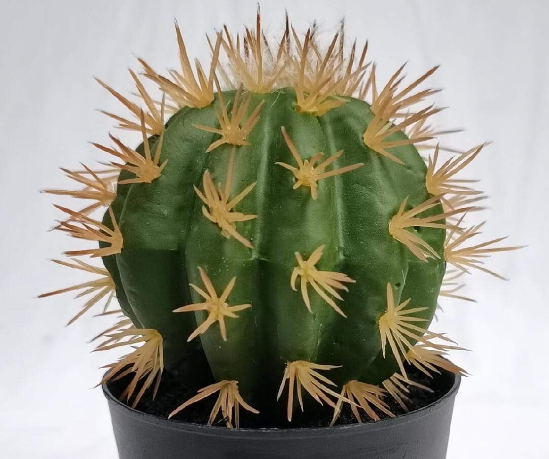 Artificial Succulents