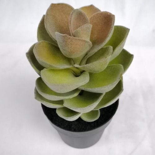 Artificial Succulents Tabletop Decor