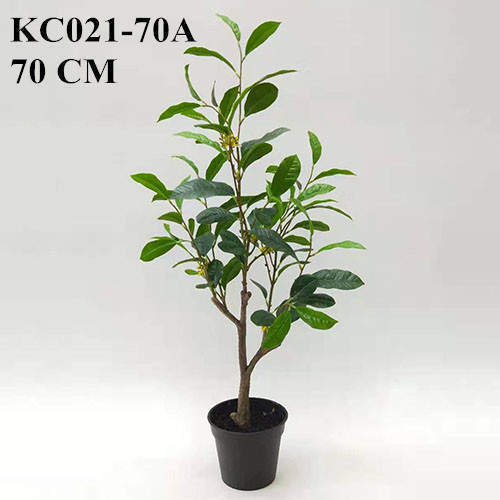 Artificial Sweet Olive Bonsai Potted 40 CM - 90 CM