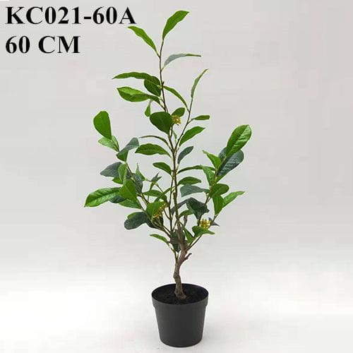 Artificial Sweet Olive Bonsai Potted 40 CM - 90 CM