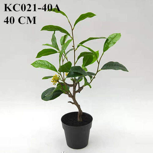 Artificial Sweet Olive Bonsai Potted 40 CM - 90 CM