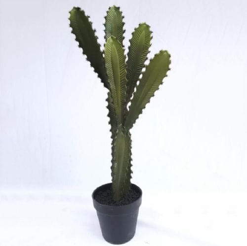 Artificial Tabletop Desert Succulent