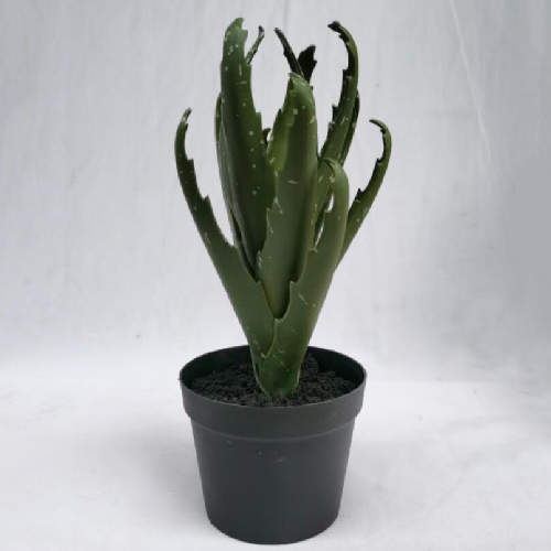 Artificial Tabletop Succulents