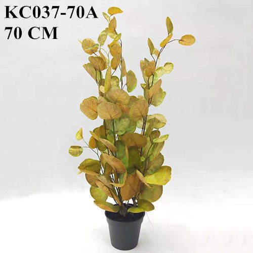 Artificial Yellow Polyscias Balfouriana Bonsai, 30 CM, 50 CM, 70 CM