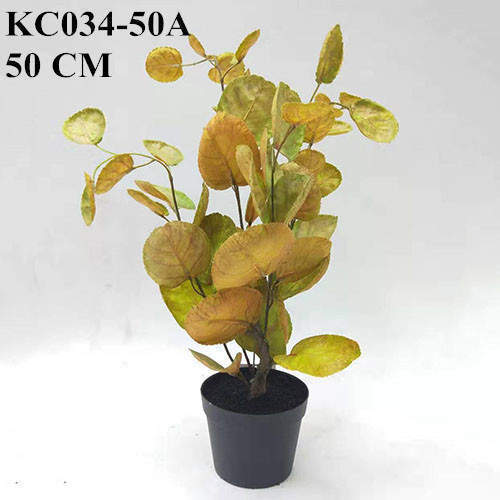 Artificial Yellow Polyscias Balfouriana Bonsai, 30 CM, 50 CM, 70 CM