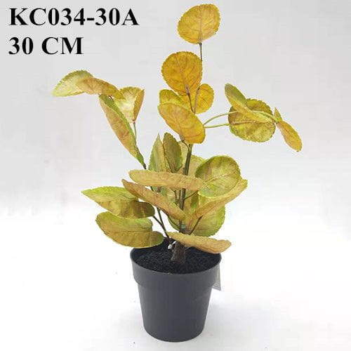 Artificial Yellow Polyscias Balfouriana Bonsai, 30 CM, 50 CM, 70 CM