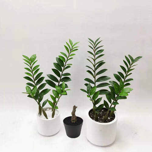 Artificial Zamioculcas Zamiifolia Bonsai, 30 CM - 70 CM