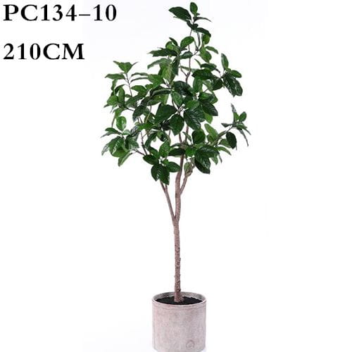Artificial Indian Laurel, Curtain Fig, 210CM