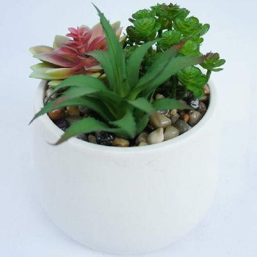 Fake Succulent Plant Desk Succulent Plants Potted Modern Plants