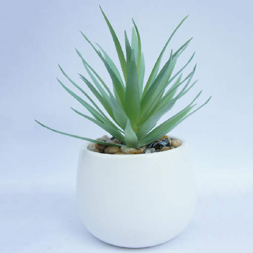 Fake Succulents Plants in White Pots for Desk Bathroom Home Office