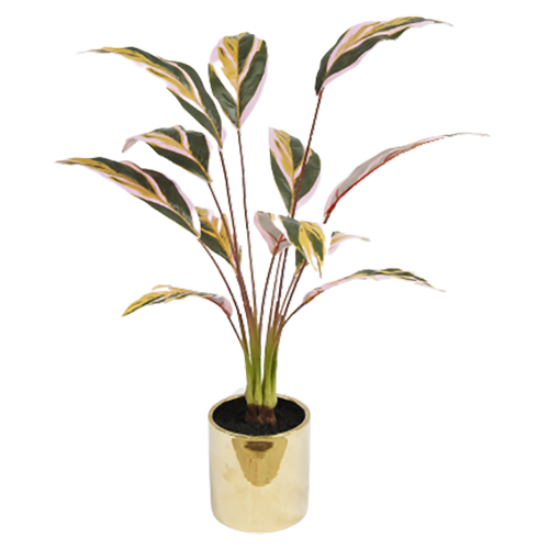 Faux Best Selling Tabletop Plant, 67 CM