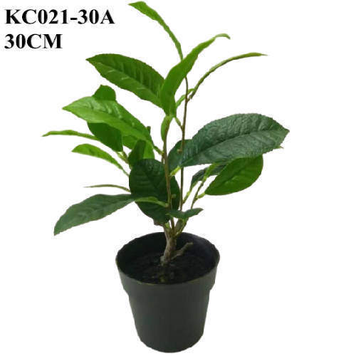 Faux Plants Mini Sweet Olive Bonsai, 30 CM