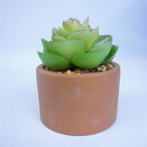 Faux Potted Plastic Succulent Plant , 9 CM
