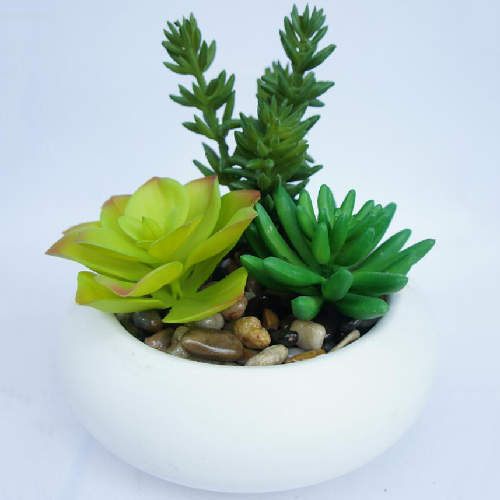 Faux Potted Succulent Artificial Plant Arrangement in White Planter