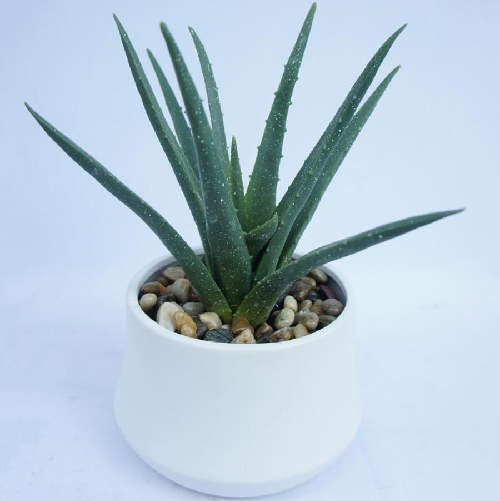 Faux Spiky Agave Succulent Plant