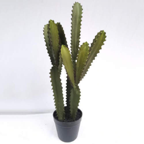 Faux Tabletop Desert Succulent Plants