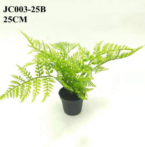 Faux Tracheophyte Fern Bonsai, 25 CM
