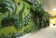 Installation Technology of Plant Walls