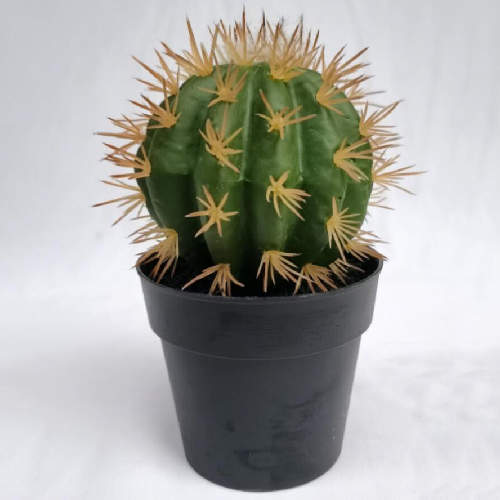 Lifelike Succulents