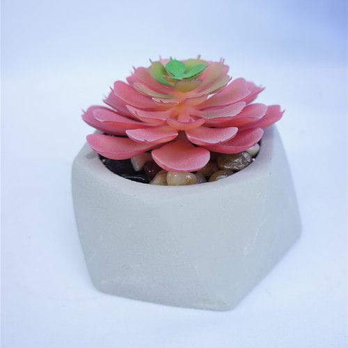 Manmade Small Succulent Ceramic Pot, 9 CM