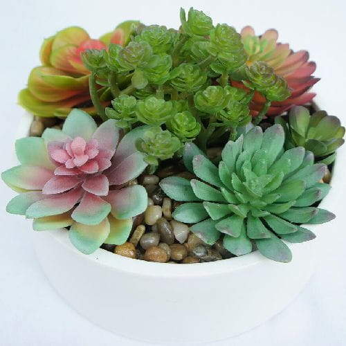 Mini Fake Plants Artificial Succulents Plants Decorative Plants