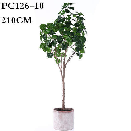Faux Ficus Tree, 210CM