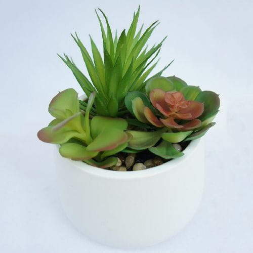Real Looking Succulent for Decoration