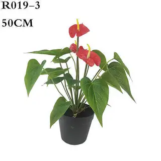 Artificial Tailflower, 50CM