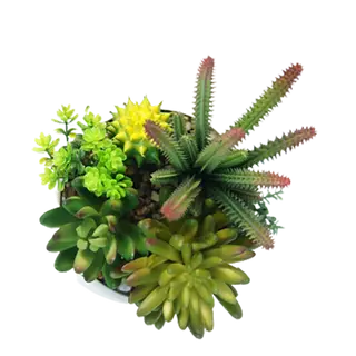 Artificial Best Selling Succulents, 22 CM