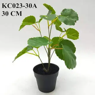 Artificial Polyscias Balfouriana Bonsai, 30 CM - 90 CM