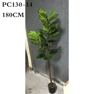 Artificial Ficus lyrata Tree, 150CM, 180CM