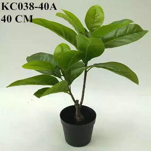 Artificial Ficus Elastica Bonsai, 40 CM, 60 CM