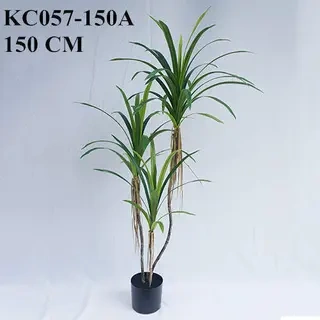 Artificial Dracaena Angustifolia Bonsai, 120 CM - 240 CM
