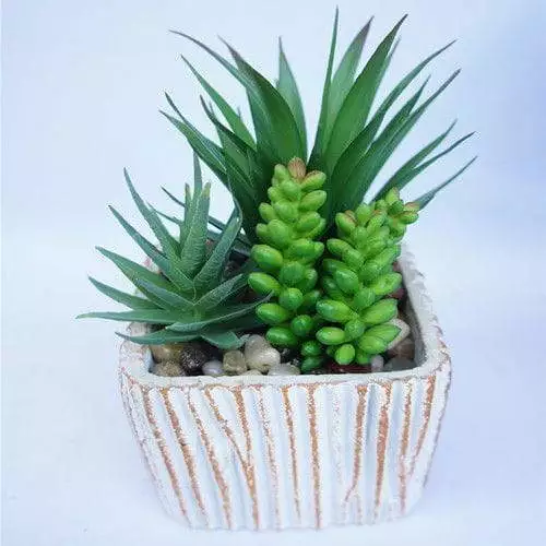 Artificial Assorted Aloe Succulents Plants, 20 CM